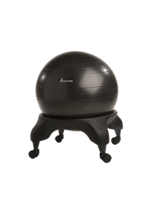 The Evolution Stability Ball Chair