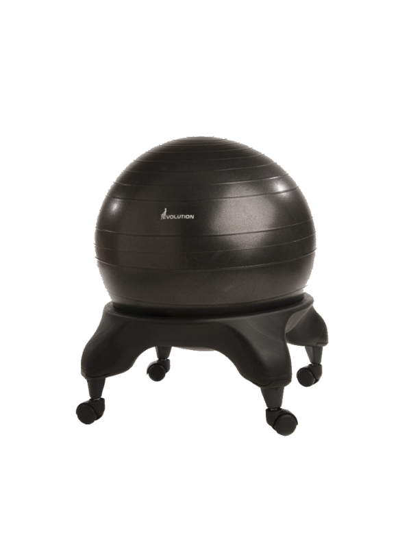The Evolution Stability Ball Chair